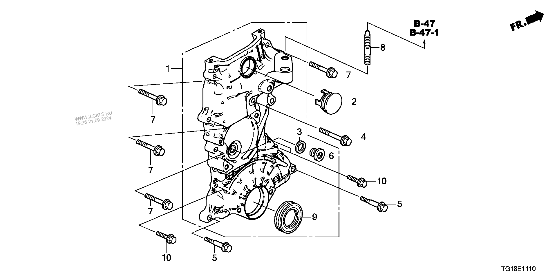 Tg 18