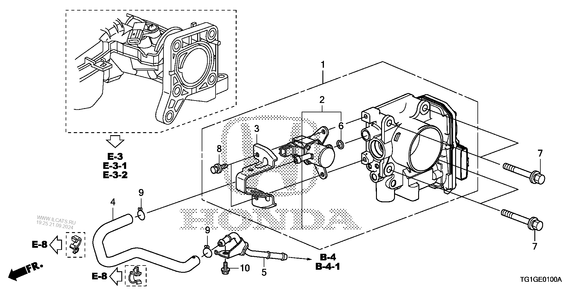 Tg 18