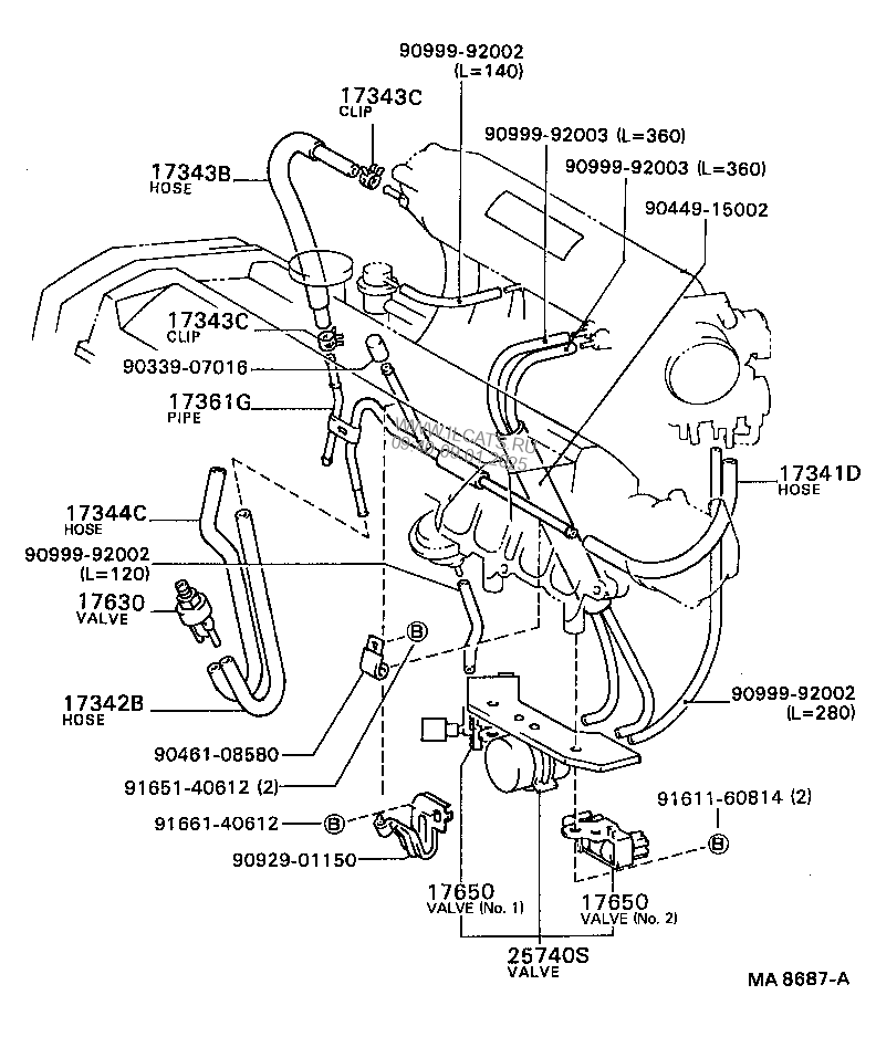 VACUUM PIPING TOYOTA CELICA&(252550)