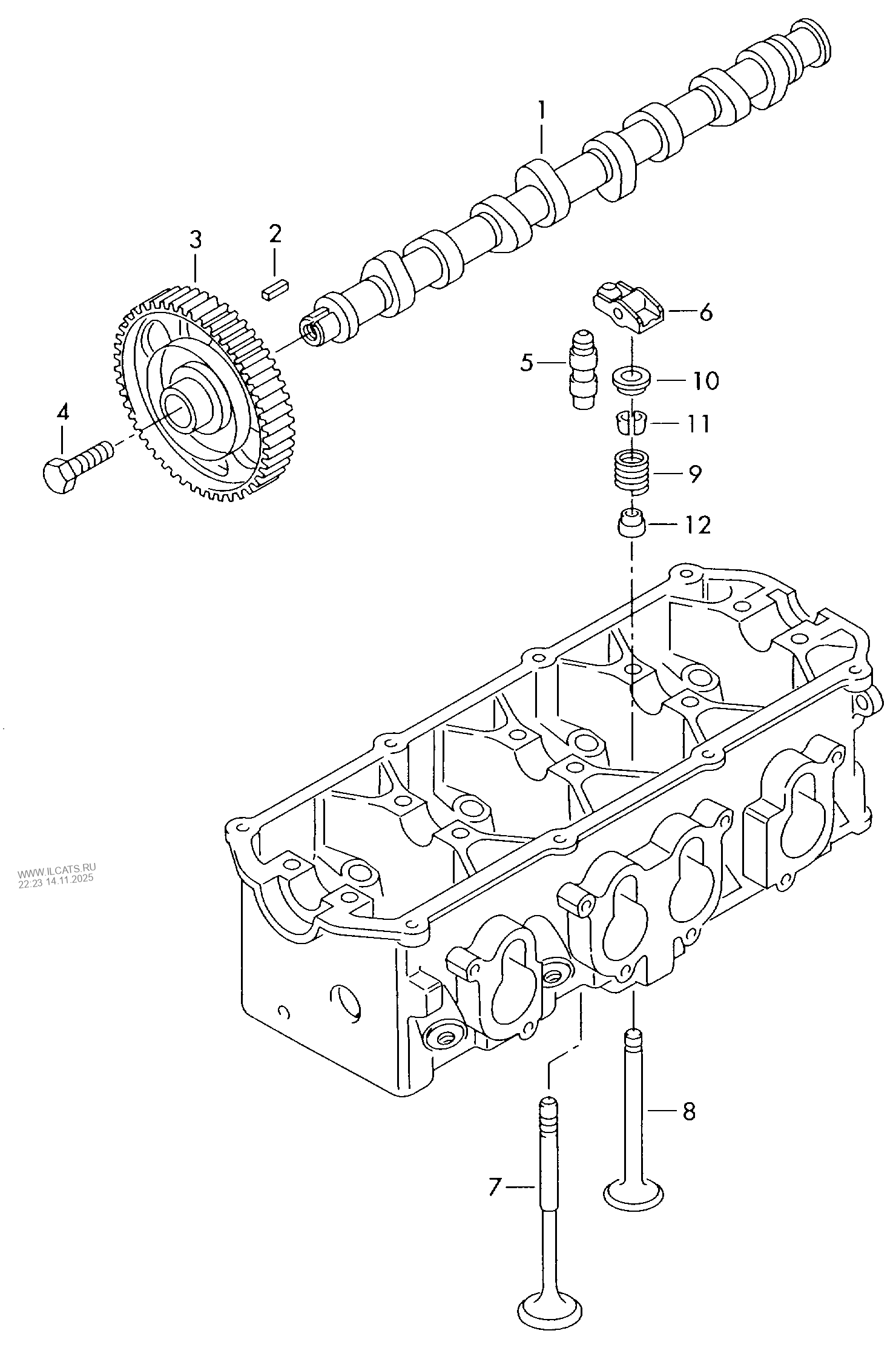 camshaft, valves VW